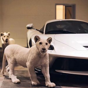 国产欧美视频在线观看
